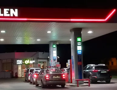 Miniatura: Polska potrzebuje koncernu...