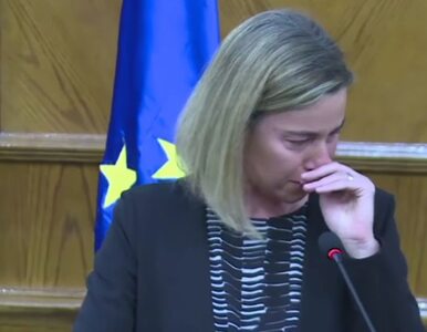 Miniatura: Łzy Mogherini i zamachy. "Straszliwie...