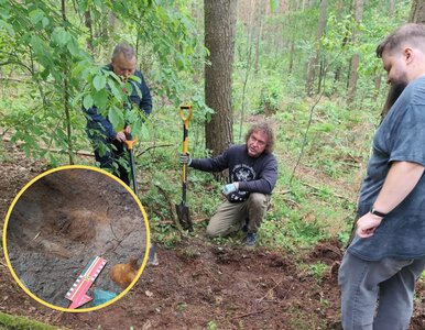 Miniatura: Przeszukiwali wielkopolski las. Trafili na...