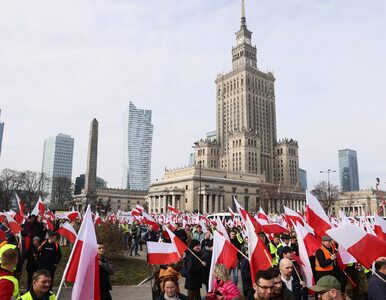 Miniatura: Protesty w Warszawie. Wiceminister...