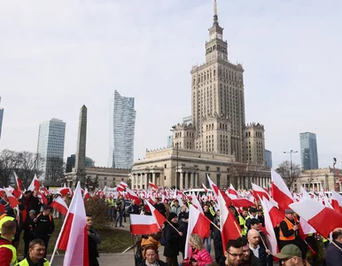 Miniatura: Protesty w Warszawie. Wiceminister...