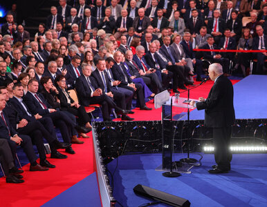 Miniatura: PiS nie porwał Polaków najnowszą...