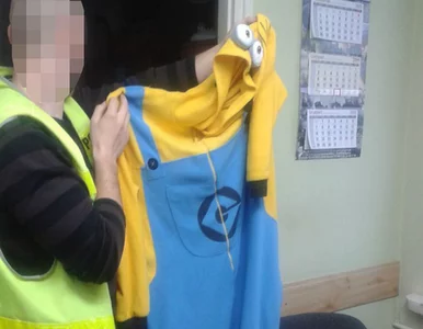 Miniatura: Policja aresztowała Minionka. Usiłował...