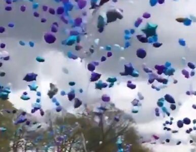 Miniatura: Setki balonów na niebie na cześć Alfiego...