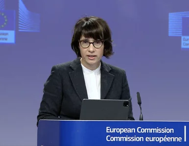 Miniatura: Wyjaśnienia Polski ws. afery wizowej nie...