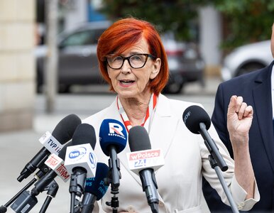 Miniatura: Rafalska: Wszyscy, którzy działają na...