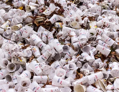 Miniatura: Koniec z plastikowymi opakowaniami i...