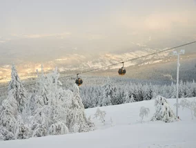 Miniatura: Wymarzony kierunek na ferie dla rodzin....