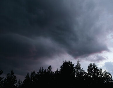 Miniatura: Koniec łaskawych temperatur. Od soboty...