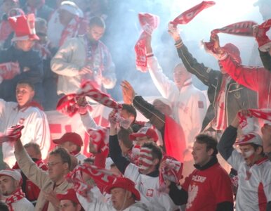 Miniatura: Kibic już nie wejdzie na stadion bez karty