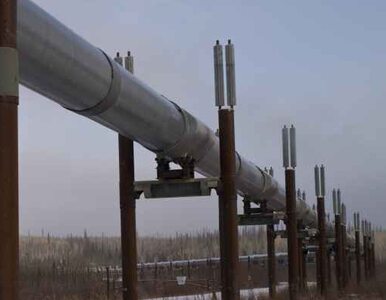 Miniatura: Rosjanie chcą być jedynym eksporterem gazu...