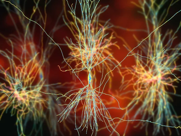 Miniatura: Izraelscy naukowcy znaleźli „przełącznik”...