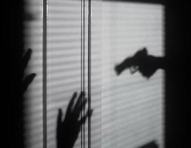 Miniatura: Tajemnicze zaginięcie w Romanówce. Wyszła...