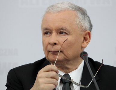 Miniatura: Poseł PO: Kaczyński z tabliczką mnożenia?...