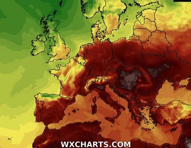 Miniatura: Fala upałów w Polsce. Najwyższy stopień...