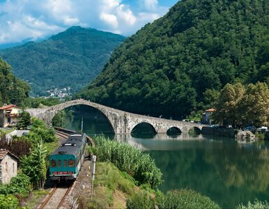 Miniatura: Retro podróż z widokiem na winnice. Tylko...