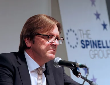 Miniatura: Guy Verhofstadt chce pilnego posiedzenia...