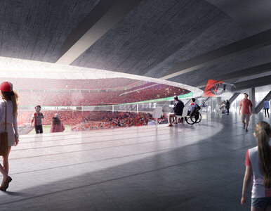 Miniatura: Feyenoord Rotterdam zbuduje nowy stadion....