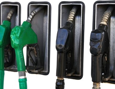 Miniatura: Na paliwie zarabia się coraz mniej