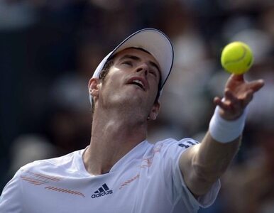 Miniatura: Turniej ATP w Tokio: Murray nie dał rady...