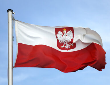 Miniatura: Polska państwem, które trzeba monitorować....
