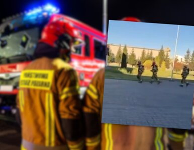 Miniatura: Wideo ze strażakami wywołało lawinę...