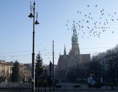 Miniatura: Koszmarne korki na północy Krakowa....