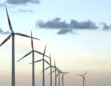 Miniatura: Zielone obligacje rozwiną energetykę...