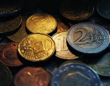 Miniatura: Polska nie wykorzystała 20 mld dolarów