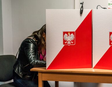 Miniatura: Prawybory w krakowskich szkołach. Tusk: O...