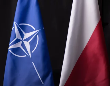 Miniatura: Sprawdź, co wiesz o NATO! Więcej niż...