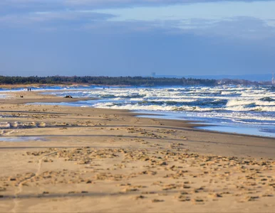 Miniatura: Nietypowe kosze nad Bałtykiem. To nie są...
