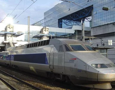 Miniatura: Kolekcjoner zgubił dzieło warte ponad 1...