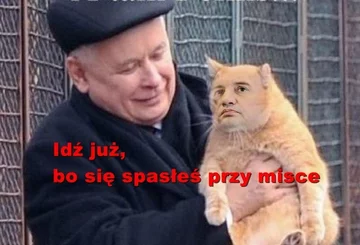 Negocjacje w Zjednoczonej Prawicy. Memy 