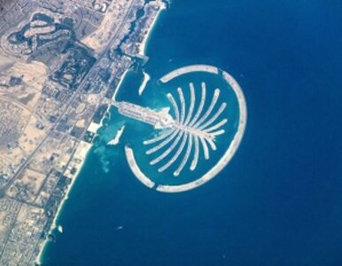 Miniatura: Krach w Dubaju odbija się na światowych...