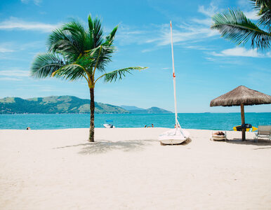 Miniatura: Turyści wybrali najpiękniejsze plaże...