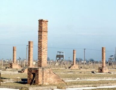 Miniatura: Niemcy dadzą milion euro na Auschwitz