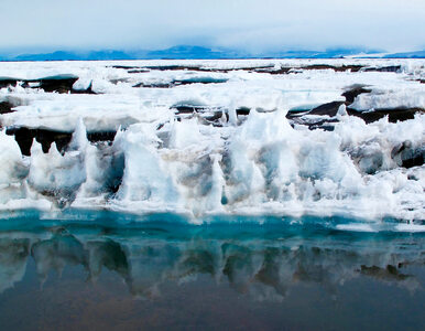 Miniatura: Z Antarktydy może oderwać się lód o...