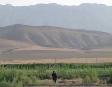 Miniatura: Turkmenistan nie ma śniegu - ale ma...