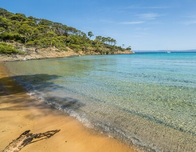 Miniatura: Perła „Wysp Złotych” z przejrzystą wodą....