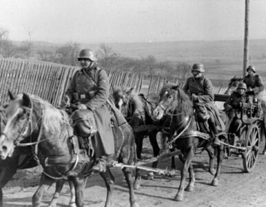 Miniatura: Weterani Waffen SS przeszli ulicami Rygi....