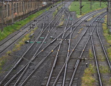 Miniatura: Tajemnicze wybuchy na przedmieściach...