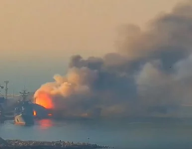 Miniatura: Wiadomo więcej na temat zniszczonego przez...