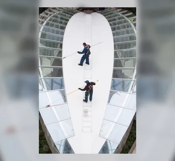 Symphony of the Seas 