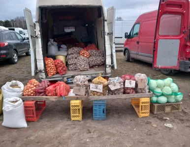 Miniatura: Ceny warzyw i owoców są tam o połowę...