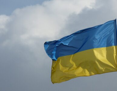 Miniatura: Українець був змушений призупинити свою...
