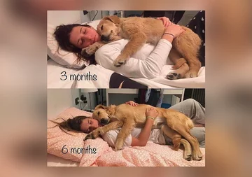 Różnica trzech miesięcy 