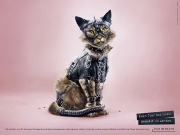 Zwierzaki w strojach BDSM 