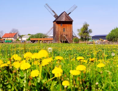 Miniatura: „Polska Holandia” ma widoki jak z...