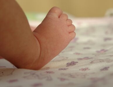 Miniatura: Cud na porodówce: powrót z zaświatów